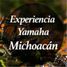 Experiencia Yamaha Michoacán