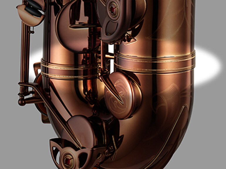 Anillo de la campana (ZASP)