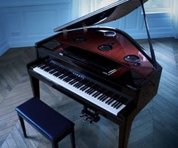 Tocar el piano: liberar al pianista de todas las limitaciones. Y luego, la alegría de transformar el acto de tocar en algo nuevo ...