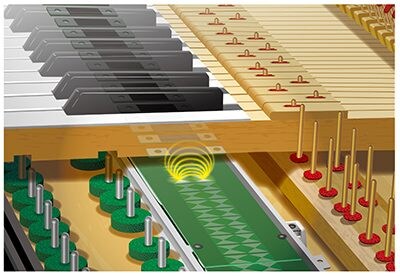 2. El sistema Articulation Sensor System ofrece una interpretación precisa de expresión musical sutil durante la ejecución.
