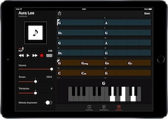 Teach your iPad to play by ear.