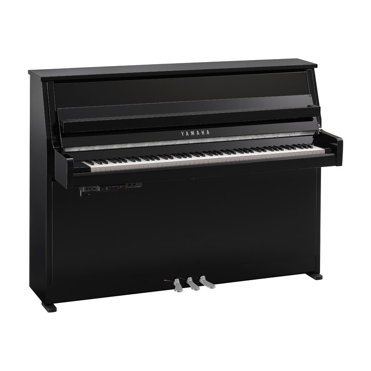 Imagen del producto B10TC3 (Ébano Pulido Cromado)