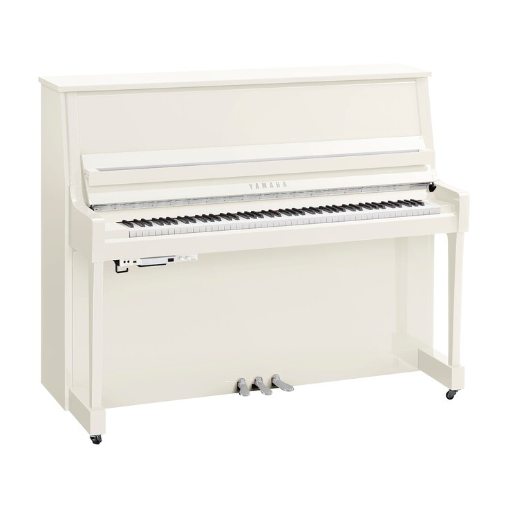 Imagen del producto B30TC3 (Blanco Pulido Cromado)