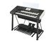 Vista diagonal del Yamaha Electone ELS-03G