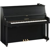 Yamaha P22 SC3