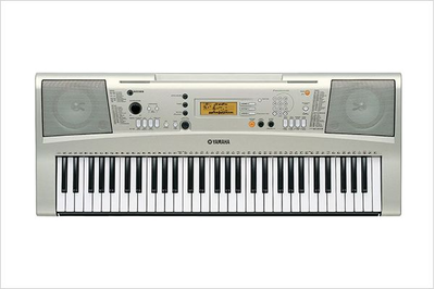 PSR-E313