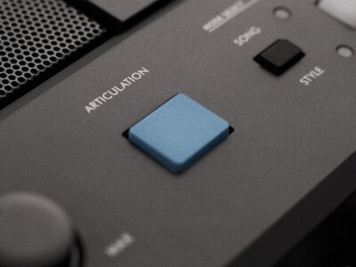 Imagen de característica del botón ARTICULATION del PSR-E483