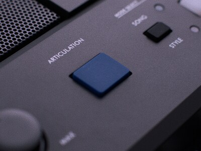 Imagen de característica del botón ARTICULATION del PSR-E583