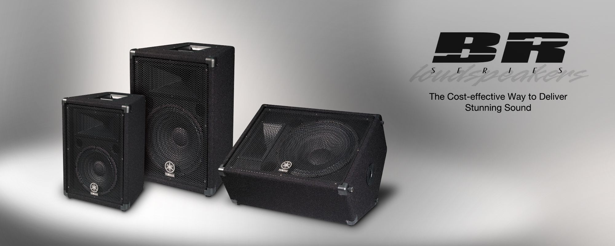 Yamaha 2024 br12 loudspeaker