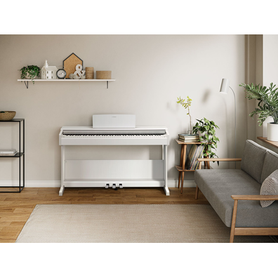 YDP-105_White