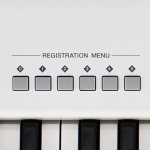 Menú registro
