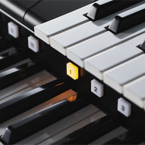 Percusión Teclados