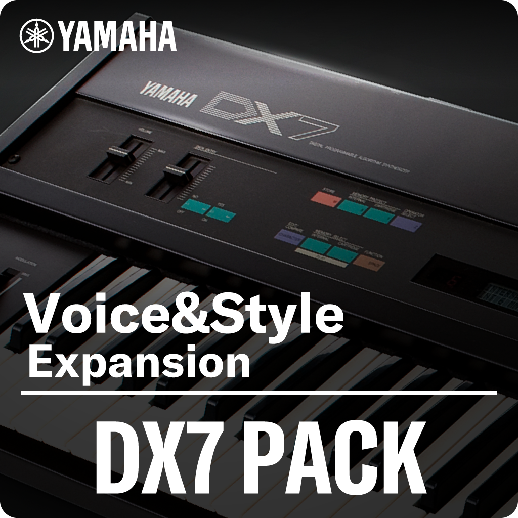 [Icon] Paquete DX7