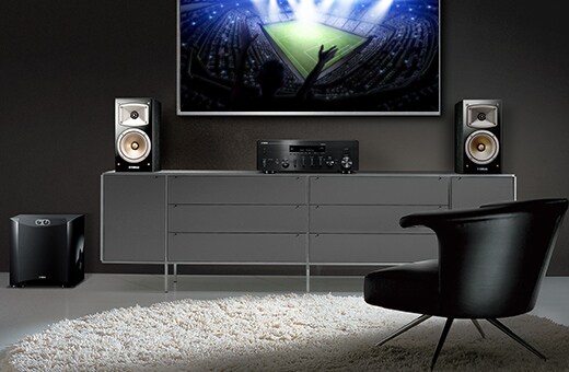 R-N803 - Descripción - Componentes Hi Fi - Productos - Audio para