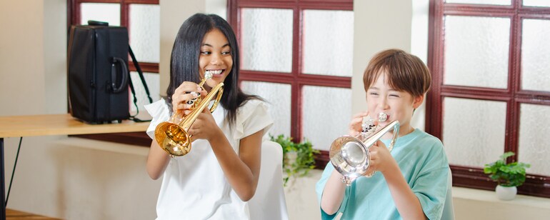 Imagen principal de las cornetas YCR-4330GII de Sib